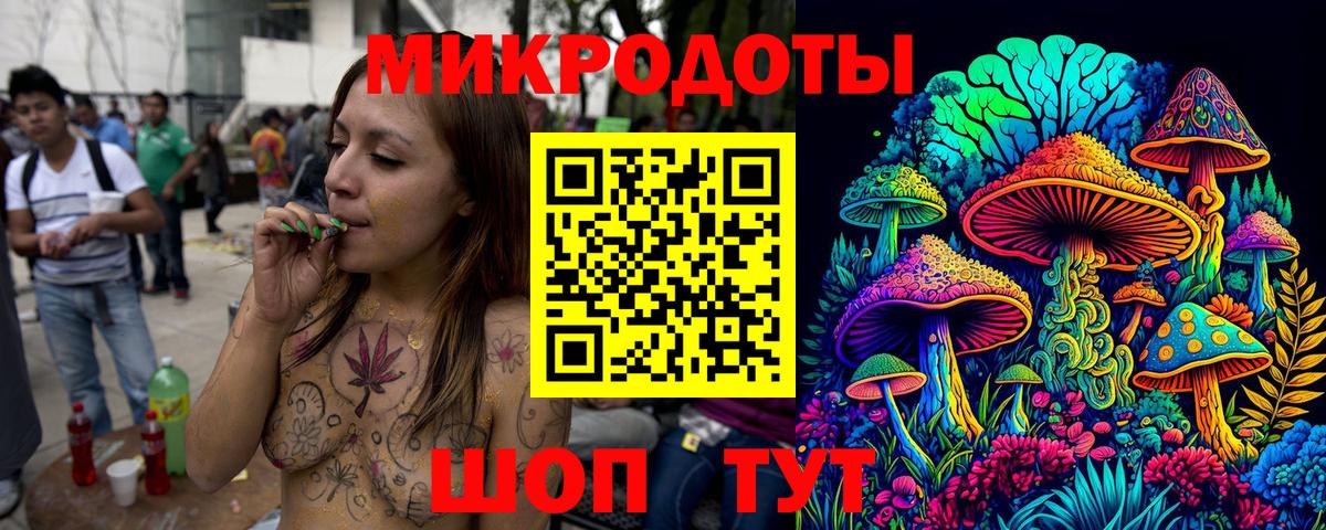 Калач-на-Дону  Псилоцибиновые грибы мицелий  Вход с VPN  Галлюциногенные грибы Psilocybe 