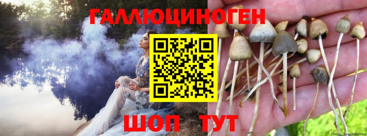 Псилоцибиновые грибы ЛСД Калач-на-Дону